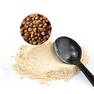 Extrait de graines de paradis (Aframomum Melegueta) de qualité alimentaire supérieure, poudre de complément avec 12,5 % de 6-paradol - Product Image 1