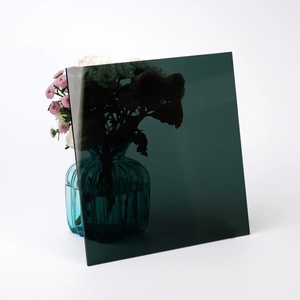 Lastra Fotografica in Vetro Spessore 1.0-2.0mm Superficie Rivestita Marca LEADER GLASS Garanzia 5 Anni - Product Image 1