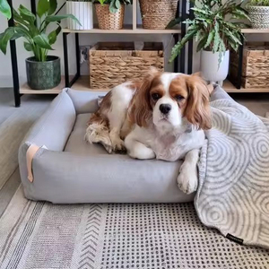 Cama para Perro de Diseño Desmontable de Alta Gama y Lujo, Rectangular, Ultra Suave, con Borde Reforzado, Acogedora y Lavable - Product Image 4