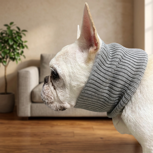 New ecofriendly anti odor oyster powder custom dog scarf - Product Image 1