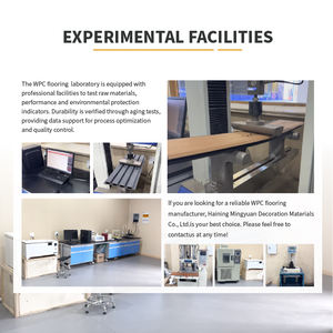 Tarima de WPC Ecológica de Diseño Moderno y Lujoso para Exteriores, <span class=keywords><strong>con</strong></span> Aspecto de Madera, para Jardín y Playa - Product Image 4