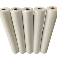 Maille de fibre de verre résistante aux alcalis E-Glass 130g 5*5mm 1m*50m pour plâtre de construction et renforcement de murs – Vente directe usine