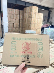 C03-04 Résoudre les problèmes <span class=keywords><strong>d</strong></span>'éclairage dans les zones sans électricité Lampe solaire Lucky Tiger comme source <span class=keywords><strong>d</strong></span>'éclairage de secours à domicile - Product Image 5