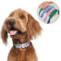Harnais pour chien en PVC personnalisé avec lettres 3D, laisse pour chien et ensemble de harnais réglable pour chien avec collier personnalisé