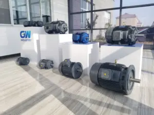 GW 3 Phase Industry Electric Motor 55 Kw 90kw 132 Kw Ac Induction Motor IEC60034 IE3