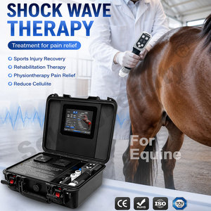 Appareil de thérapie par ondes de choc pour chevaux, portable, en <span class=keywords><strong>valise</strong></span>, pour centre équestre - Product Image 1