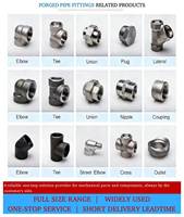 Raccord réducteur PT en acier inoxydable 304 forgé et poli, haute pression, sur mesure, 3000 LB, filetage interne PT1-1/2"*3/4"