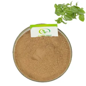 OEM high quality organic Common Andrographis Herb Extract powder Andrographolide