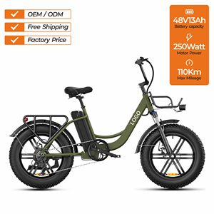 Vélo Léger 20 Pouces avec Batterie Lithium 48V13Ah, Moteur 250W, Pneus Larges, 7 Vitesses, Vélo de Ville OEM L20 ENGWE L20 Entrepôt UE - Product Image 3
