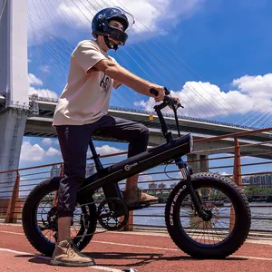 China Hersteller elektrische Frauen Fahrrad 100km faltbare E-Bike Australien elektrische Mountainbike Fahrrad elektrische E-Bike Dirt Bike