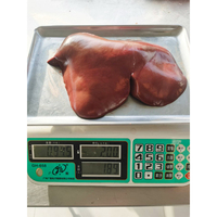 Foie d'agneau congelé de haute qualité à bon prix, boîte de 20 kg - Prix direct usine disponible à la vente