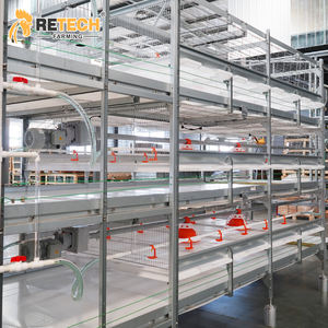 <span class=keywords><strong>Cage</strong></span> de volaille automatique à plusieurs niveaux, équipement d'élevage d'animaux et de volaille en indonésie - Product Image 1