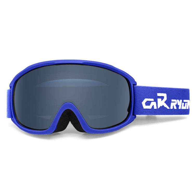 Lunettes de ski avec cadre bleu foncé