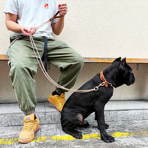 Ensemble collier et laisse en métal acier inoxydable avec chaîne pour chien personnalisé stocké en gros laisse pour animaux de compagnie avec poignée en cuir végétalien personnalisé - Product Image 5