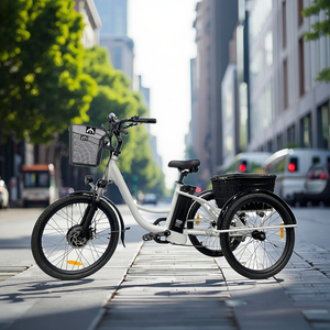 <span class=keywords><strong>Vélo</strong></span> <span class=keywords><strong>cargo</strong></span> électrique 3 roues personnalisable pour adulte, en acier ouvert, 48V 351-500W, haute puissance, longue autonomie, avec capacité de charge pour usage quotidien - Product Image 2