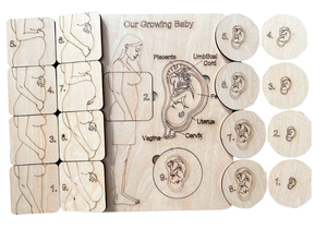 Juego de Madera Preescolar, Juguete Educativo Temprano, Aprendizaje sobre el Cuerpo Humano para Mamás Embarazadas, Rompecabezas Magnéticos 3D de Madera Montessori para Niños Pequeños - Product Image 5