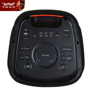 Altavoz Portátil Karaoke OEM de Última Generación, Altavoz Inalámbrico TWS Dual de 8 Pulgadas, Envío FOB, Bluetooth, Amplificador de Guitarra, Audio <span class=keywords><strong>Amplificado</strong></span> - Product Image 6