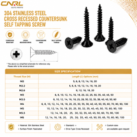 M2-M6 Black Zinc Flat Head Phillips Self Tapping Wood Screws High Strength Stainless Steel Countersunk Fasteners for Furniture