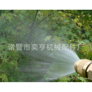 Tête d'arrosage en laiton Yiheng DN15, buse atomisante réglable à 4 points pour systèmes d'irrigation de jardin - Product Image 5