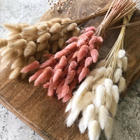 Buket Rumput Ekor Kelinci Kering AYOYO, Rumput Ekor Anjing Asli yang Dikeringkan Secara Alami untuk Dekorasi Natal, Pernikahan, dan Dekorasi Dalam Ruangan