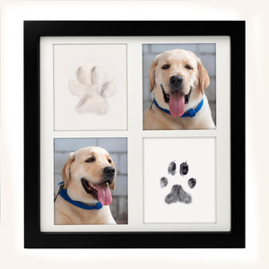 Wholesale New Density Board and Stainless Steel Modern Eco-Friendly Pet <b>Memorial</b> Shadow <b>Box</b> with Paw Print Dogs Cats Printings - Product Image 1