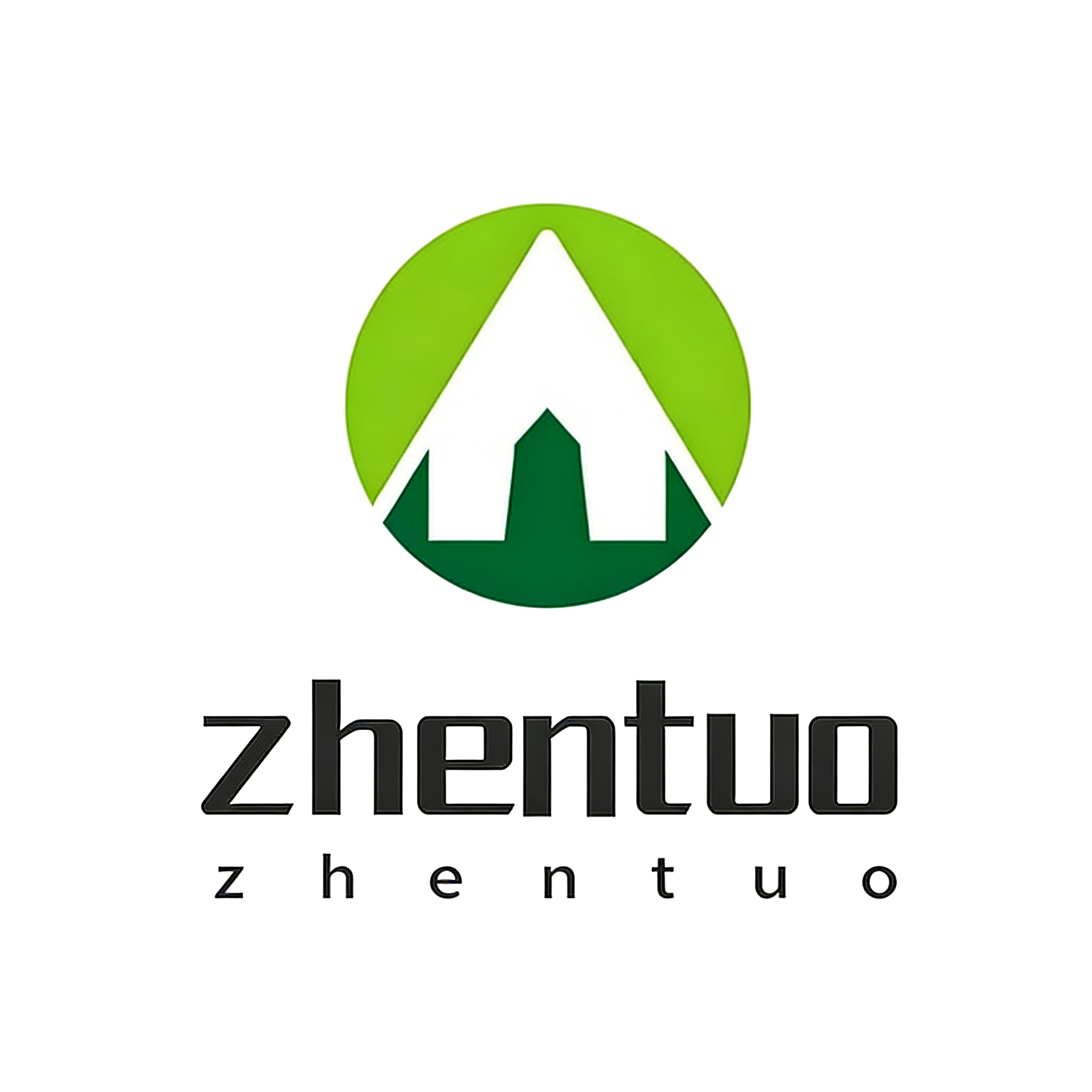 Shandong Zhentuo New Energy Technology Co., Ltd. logo