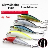 Leurre artificiel dur en ABS de 6 cm et 4 g, type Minnow à coulée lente, pour la pêche en eau douce