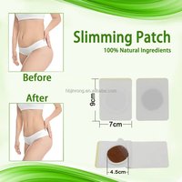 Patchs Détoxifiants Multi-Usages à Base de Plantes pour la Perte de Poids, la Combustion des Graisses et le Remodelage Corporel pour l'Abdomen, les Jambes, les Bras et les Hanches