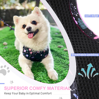 Offre Spéciale : 5 Types d'Accessoires pour Animaux – Ensemble Harnais et Laisse pour Chien, Collier pour Chien avec Porte-Sac à Crottes, Accessoires Lumineux LED pour Collier de Chien