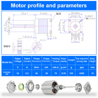 Moteur pas à pas RB 28 mm, actionneur linéaire haute précision Nema 11, vis mère TR5/TR6, course 300 mm, 12 V, 28 mm pour imprimante 3D