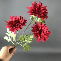 3 Tangkai Bunga Epiphyllum Sutra Buatan Gaya Kuno Dekorasi Latar Belakang Fotografi Pernikahan Luar Ruangan 50 Pcs Tinggi