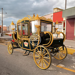 Calèche électrique OEM Princesse Royale à chevaux avec châssis en acier Q235B – Décorations de mariage luxueuses pour le tourisme et les cadeaux - Product Image 5