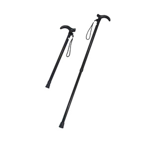Bâton de marche en alliage d'aluminium, 2 sections, réglable, télescopique, pliable, randonnée en plein air, portable, pour personnes âgées - Product Image 1
