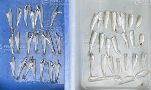 Saury Sardine Three High-Speed Fish Killing Machines Small Fish Slicer Filleting Machine - Product Image 3