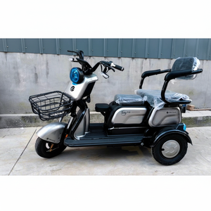 Tricycle à deux places pour adultes handicapés, à une vitesse, OEM 48V 600W, avec cadre en acier à haute teneur en carbone et frein à tambour - Product Image 1