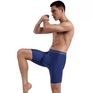 Logo özelleştirmek naylon avrupa boyutu S 2XL Boxer külot uzun bacak hızlı kuru nefes spor eğitimi iç çamaşırı külot - Product Image 2