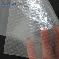Bâche agricole transparente en plastique pour volailles, tissus de culture de fruits avec stabilisateur UV et bords renforcés pour la culture de raisins et la coupe des cerises