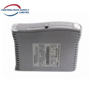 Ensemble de terminaison d'output numérique ICS TRIPLEX T9831 - 8 canaux doubles, 24V Haute fiabilité pour le contrôle industriel - Product Image 3