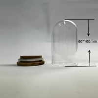 Terrarium en verre transparent Lanjing Plant Microlandscape, pot pour plantes d'intérieur, mousse et fleurs, pour usage domestique