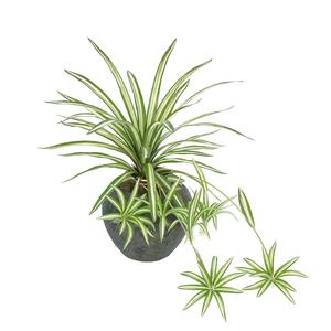 Plante araignée chinoise réaliste fausse herbe grande plante murale artificielle pour décor d'hôtel - Product Image 3