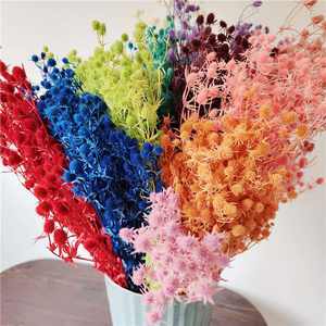 Fruit préservé de la Saint-Valentin et eryngo <span class=keywords><strong>Eryngium</strong></span> <span class=keywords><strong>foetidum</strong></span> de haute qualité les plus populaires pour la décoration intérieure - Product Image 1