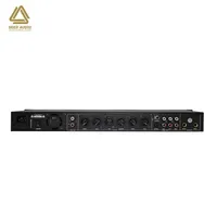 Pré-effets KTV Processeur audio numérique portable professionnel Modèle RV-3000 Entrée/sortie max 4V
