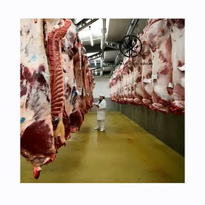 Attrezzatura per macello Halal di bufalo di qualità di fabbrica carne di bovino appesa per la macellazione della rotaia del tubo della mucca