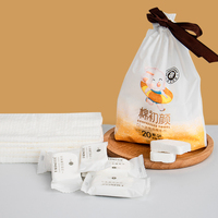 Serviettes compressées jetables non tissées 20 pièces – Mini-serviettes portables à expansion rapide pour le camping, les croisières et la salle de sport