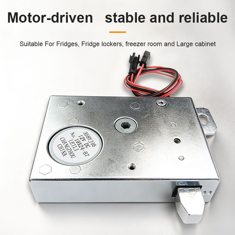 Electric Lock- Heavy Duty High Load with Remote Monitoring, Gear Motor Driven for Cabinet Door · image 4