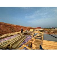 Nouvelle maison en bois préfabriquée de style extérieur luxueux avec toit triangulaire, professionnelle et délicate pour la vie quotidienne