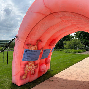 Tunnel de Colon Gonflable Géant pour Expositions Médicales Extérieures, Publicité, Grand Modèle de Colon Humain Gonflable pour Expositions Médicales - Product Image 5