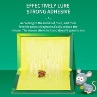 Piège à souris collant écologique et antidérapant avec adhésif puissant pour 480 heures de lutte antiparasitaire – Plaques de capture collantes pour rats