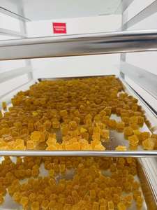 Automatic Tabletop <b>Fruit</b> Gummy Soft Cola <b>Jelly</b> Extrude Make <b>Candy</b> Mould Depositor Machine - Product Image 6