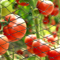 Filets anti-oiseaux tricotés en gros Filets en plastique en treillis métallique anti-oiseaux pour usage agricole, coupés à la commande pour les jardins potagers